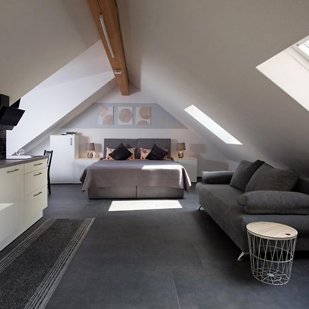 Ferienwohnung Regel Lauingen ภายนอก รูปภาพ